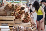 Vải thiều vào vụ thu hoạch, Hà Nội hỗ trợ các địa phương tiêu thụ