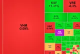 PDR tăng kịch trần, thanh khoản đạt mức cao