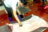 ​Phúc Thọ chủ động siết chặt quản lý giết mổ động vật