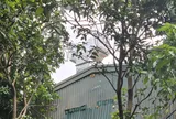 Xã Hoài Đức yêu cầu Công ty Sáng Việt Print chấp hành quy định về môi trường