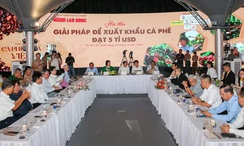 Phát triển cà phê chất lượng cao tăng sức cạnh tranh trên thị trường thế giới