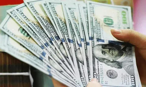 Tỷ giá USD hôm nay 2/10: thị trường chưa ngừng giảm sâu, ngân hàng tăng mạnh