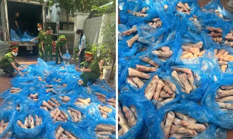 Phát hiện xe tải chở hơn 1.600kg chân móng giò không nguồn gốc đi tiêu thụ