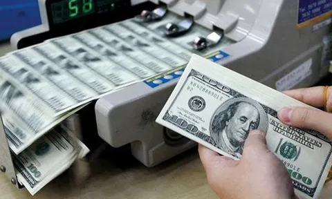 Tỷ giá USD hôm nay 28/10: đảo chiều tăng mạnh trên thị trường tự do