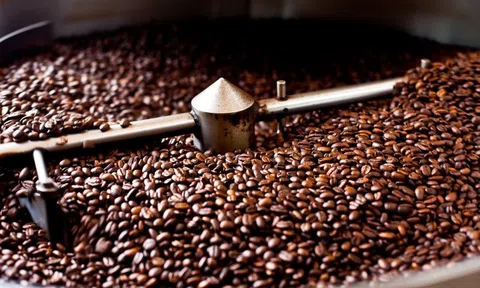 Giá cà phê hôm nay 16/11: Arabica tiếp tục tăng, lập đỉnh mới