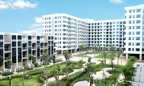 Bản tin bất động sản từ 9-15/12: Thu hồi hơn 1,2 triệu m2 nhà, đất công