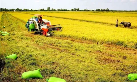 Đề xuất kéo dài thời gian miễn thuế sử dụng đất nông nghiệp đến hết năm 2030
