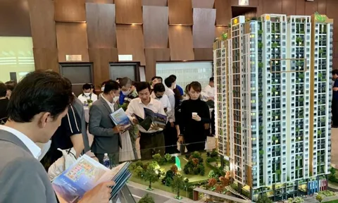 Áp thuế 20% trên lãi chuyển nhượng bất động sản: Ngăn đầu cơ, chống thất thu thuế