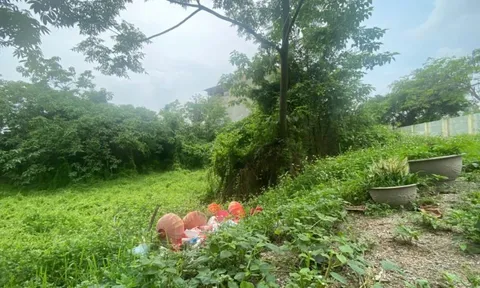 Vì sao 23 hộ dân trúng đấu giá đất ở xã Trần Phú, Chương Mỹ đã 16 năm không được cấp sổ đỏ, xây nhà?