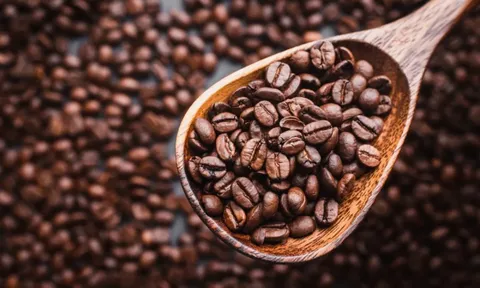 Giá cà phê hôm nay 16/5/2025: Arabica tăng trở lại, nguồn cung được tăng cường đẩy Robusta giảm