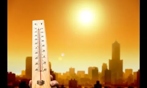 Những bệnh ngoài da mùa hè thường gặp và cách phòng tránh