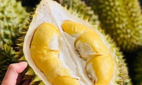 Những điều cấm kị khi ăn sầu riêng, bạn nên biết để tránh ngộ độc