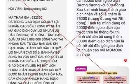 Sập bẫy đầu tư MoMo Pro giả mạo, nhiều người mất hàng trăm triệu đồng