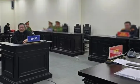 Sắp xét xử phúc thẩm cựu luật sư Trần Đình Triển