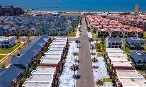 Dự liệu còn nhiều khó khăn, Novaland thận trọng với kế hoạch kinh doanh năm 2025