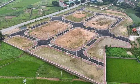 Giữa tháng 6, đấu giá đất tại huyện Phúc Thọ, khởi điểm từ 8,9 triệu/m2