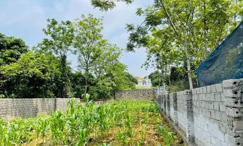 Nhà đầu tư rơi vào vòng xoáy chôn vốn khi mua đất nền không sổ đỏ