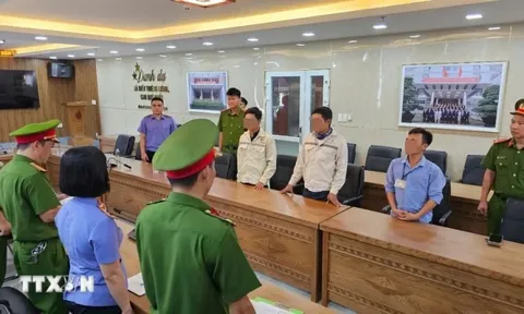 Đà Nẵng khởi tố 3 bị can trong vụ chôn lấp trái phép hàng trăm tấn chất thải
