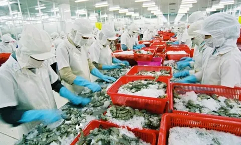 Thúc đẩy chuỗi cung ứng nông sản Việt Nam - Hoa Kỳ