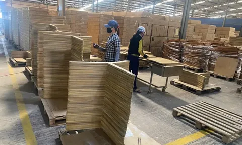 TP Hồ Chí Minh “mở lối” cho doanh nghiệp xuất khẩu trước "sóng" thuế quan Hoa Kỳ