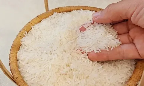 Giá lúa gạo hôm nay 5/6: gạo tăng lúa giảm