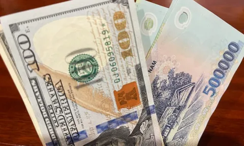 Tỷ giá USD hôm nay 6/6: thị trường quay đầu giảm mạnh