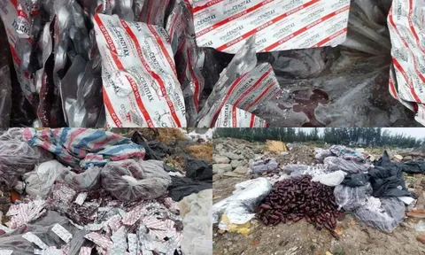 Vứt bỏ thuốc tân dược bừa bãi - nguy cơ đầu độc cộng đồng từ sự cẩu thả