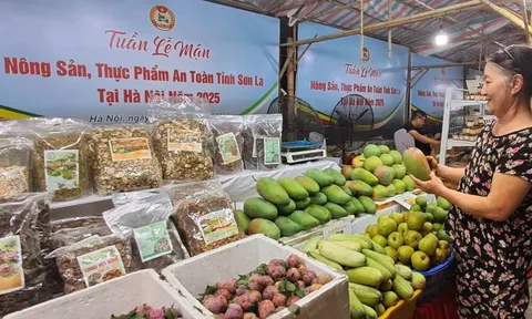 Hà Nội chung tay hỗ trợ người dân Sơn La quảng bá tiêu thụ hoa quả - nông sản