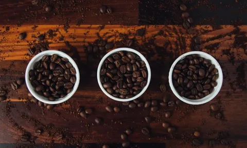 Giá cà phê hôm nay 14/6/2025: 2 sàn cùng tăng, Robusta tiếp tục phục hồi