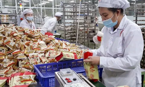 Giải pháp nào bảo vệ thương hiệu Việt trong quá trình xuất khẩu