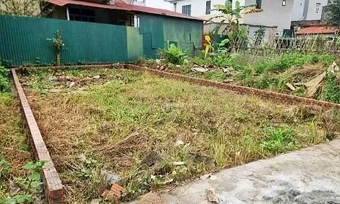 Giá đất nền Đông Anh duy trì mức giá cao dù giao dịch chậm