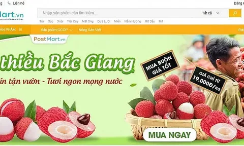 Nâng giá trị cho trái vải thiều Việt Nam