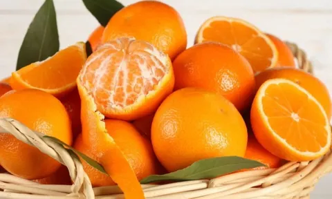 Trẻ em nên ăn quả quýt hay quả cam?