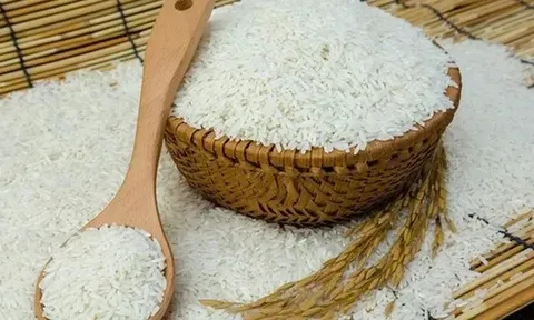 Giá lúa gạo hôm nay 27/6: giá gạo tăng nhẹ
