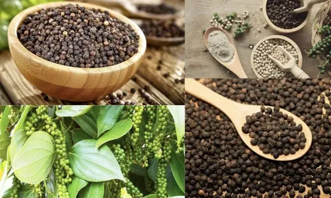 Giá tiêu hôm nay 1/7/2025: tăng mạnh trở lại, giá tiêu xuất khẩu cũng khởi sắc