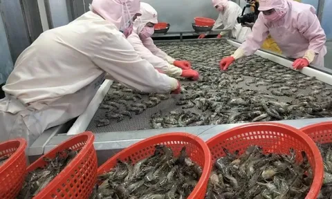 Doanh nghiệp Việt Nam sẵn sàng trước các mức thuế đối ứng của Mỹ sau ngày 9/7