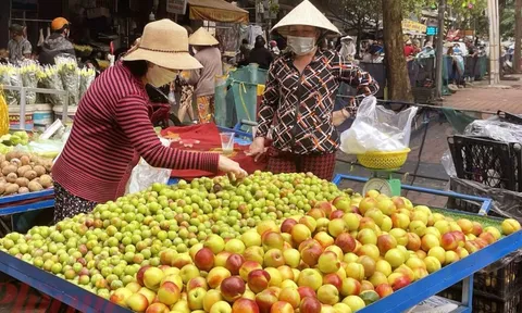 Đào mận Trung Quốc núp bóng nông sản Việt Nam