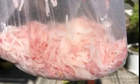 Vụ bún tươi chuyển màu đỏ ở Đà Nẵng: cơ sở sản xuất bị tạm dừng hoạt động