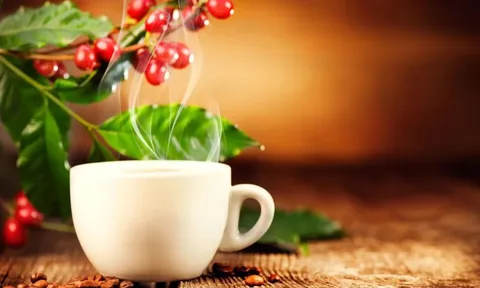 Giá cà phê hôm nay 10/7/2025: 3 nguyên nhân đẩy cà phê giảm trở lại
