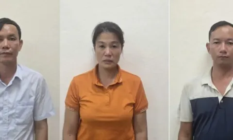 Quảng Ninh: khởi tố Chủ tịch HĐQT kiêm Giám đốc Công ty MTV Lâm nghiệp Hoành Bồ