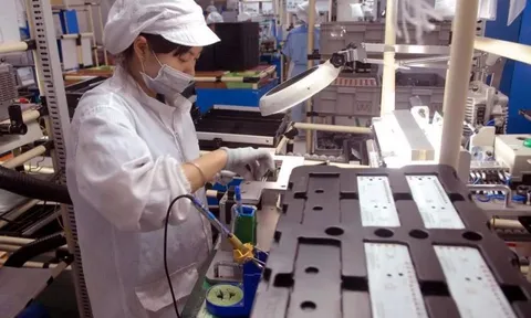 Cấp thiết hoàn thiện pháp lý xuất xứ hàng hoá Việt Nam