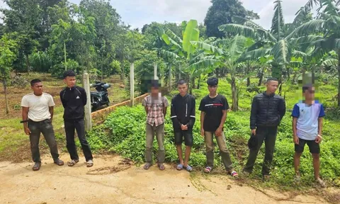 Đắk Lắk: khởi tố nhóm thanh, thiếu niên dàn cảnh cướp điện thoại lấy tiền ăn nhậu