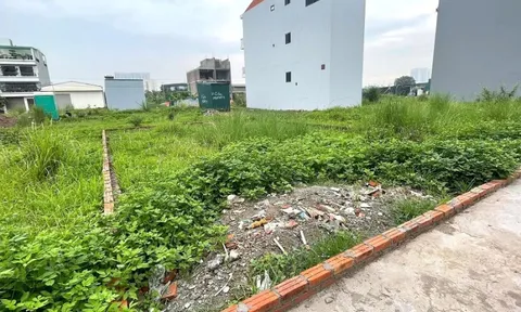 Mức độ quan tâm đất nền giảm mạnh sau "cơn sốt" ngắn hạn