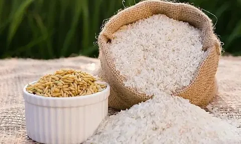 Giá lúa gạo hôm nay 16/7: gạo xuất khẩu giảm mạnh