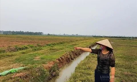 Điều cần lưu ý trong cách tính thuế sử dụng đất nông nghiệp năm 2025