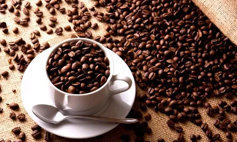 Giá cà phê hôm nay 19/7/2025: 2 sàn diễn biến trái chiều phiên cuối tuần, Robusta tăng trở lại