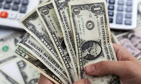 Tỷ giá USD hôm nay 22/7: thị trường tự do nhích nhẹ, thế giới giảm mạnh