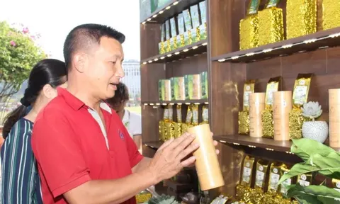 Sơn La: phát triển sản phẩm công nghiệp nông thôn tiêu biểu gắn với nông nghiệp sạch