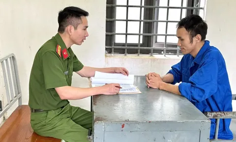 Triệt phá nhóm “bao luật” cho xe vi phạm giao thông, thu tiền triệu mỗi tháng