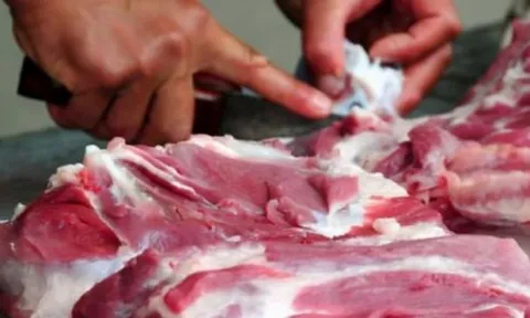 Những dấu hiệu nhận biết thịt nhiễm tả heo châu Phi